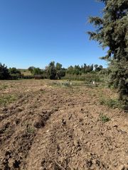 Finca rústica a Diseminado Navalcarnero