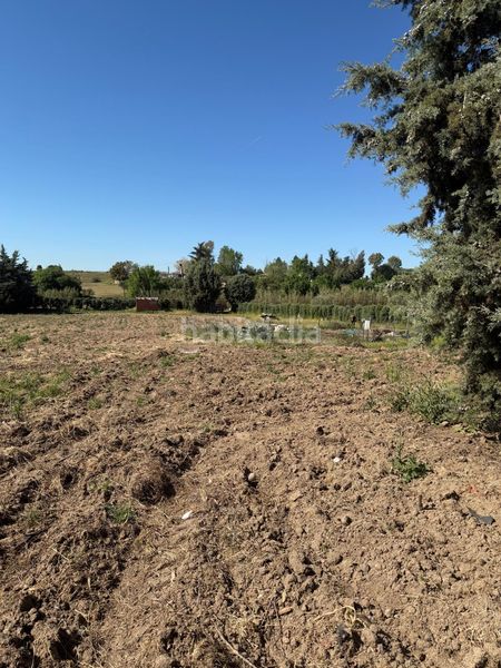 Foto 181f9f40-d0fd-4047-9136-f7134a919cd8. Finca rústica a Urb. Calypo Navalcarnero