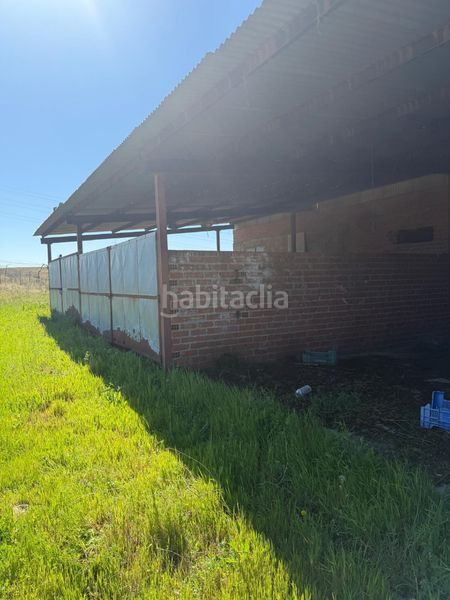 Foto 26dcc15e-a5f4-4e5d-a75f-c50ec0ff9a20. Finca rústica a Urb. Calypo Navalcarnero