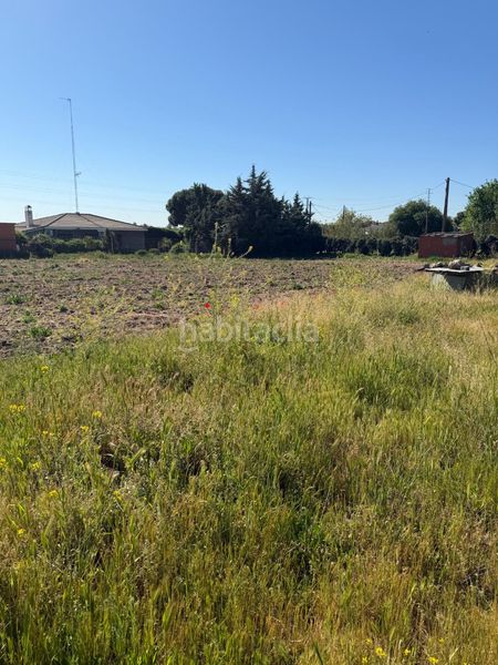 Foto 5b272544-946b-451e-b765-189130aad36c. Finca rústica a Urb. Calypo Navalcarnero