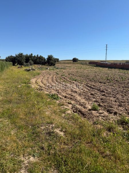 Foto 8851a179-5cde-4de8-9229-4ebb1e7963ef. Finca rústica a Urb. Calypo Navalcarnero