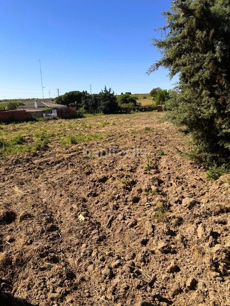 Foto f27fa70b-eecd-42ae-bc30-389e5879c5a9. Finca rústica a Urb. Calypo Navalcarnero