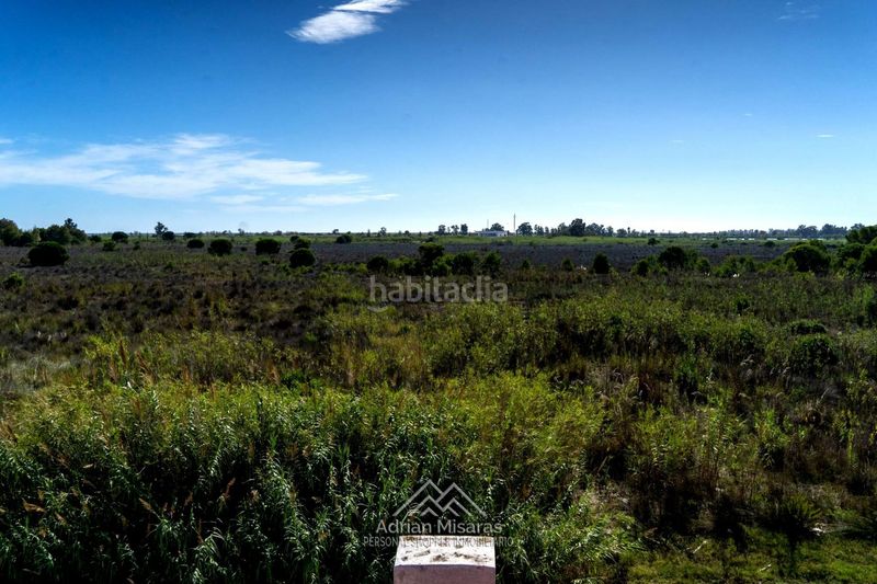 Foto 9255ca80-d7fb-43c5-8a13-62129d40e578. Edifici a Deltebre