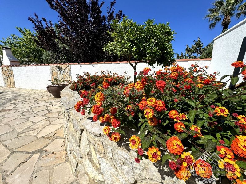 Foto 035b9e3b-934b-4438-9601-a44bdaf07f6f. Casa a gavina 29 a Deltebre