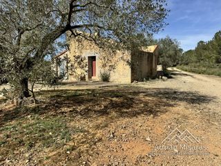 Rural plot in Aldea (L�). Finca r�stica ecol�gica con casa de campo, almac�n y espectacula