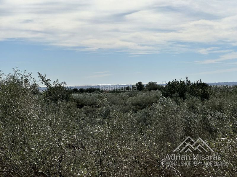 Foto 1ceefdf2-59a1-4c0f-add7-f9ebb6921143. Finca rústica a Aldea (L´)