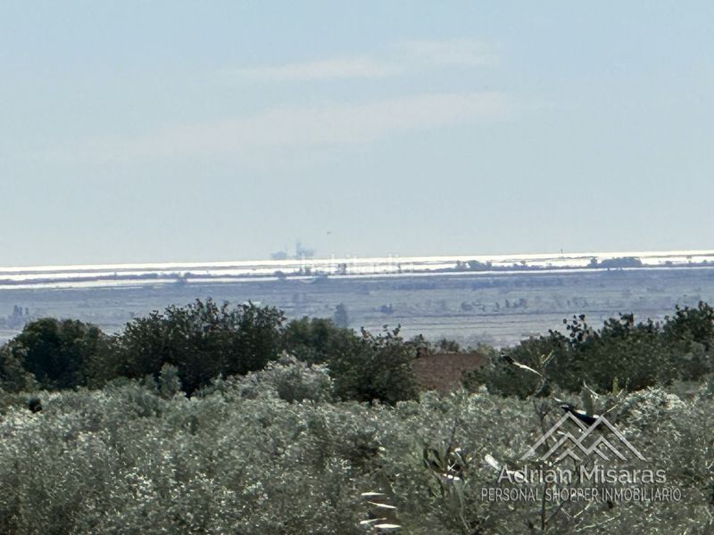 Foto 1d18f076-1a18-4997-ada6-64913b69ba58. Finca rústica a Aldea (L´)