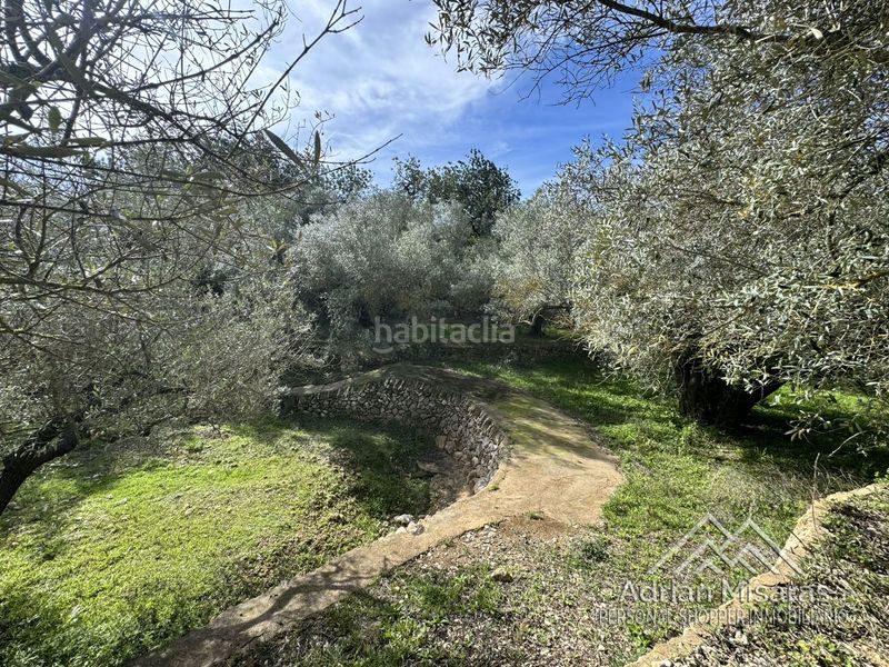 Foto 41954266-9e17-400d-8fdb-acdfefd1df53. Finca rústica a Aldea (L´)