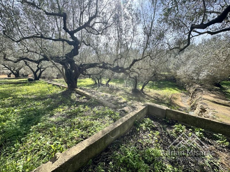 Foto 468ee4aa-42bc-4792-b890-58b3839441aa. Finca rústica a Aldea (L´)