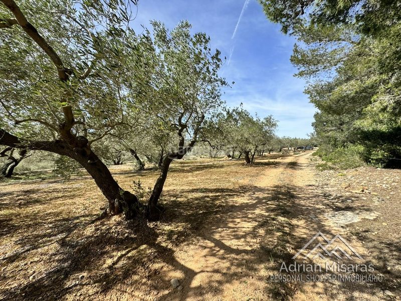 Foto 4d661e20-71ff-459d-9637-a9853cecb22a. Finca rústica a Aldea (L´)