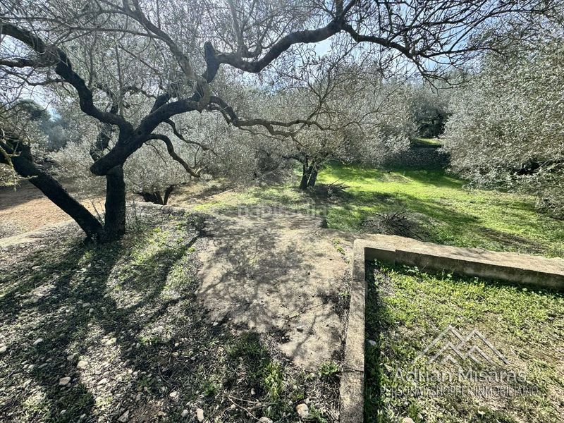 Foto 51958cee-5821-44bc-8560-76f6046daeb8. Finca rústica a Aldea (L´)