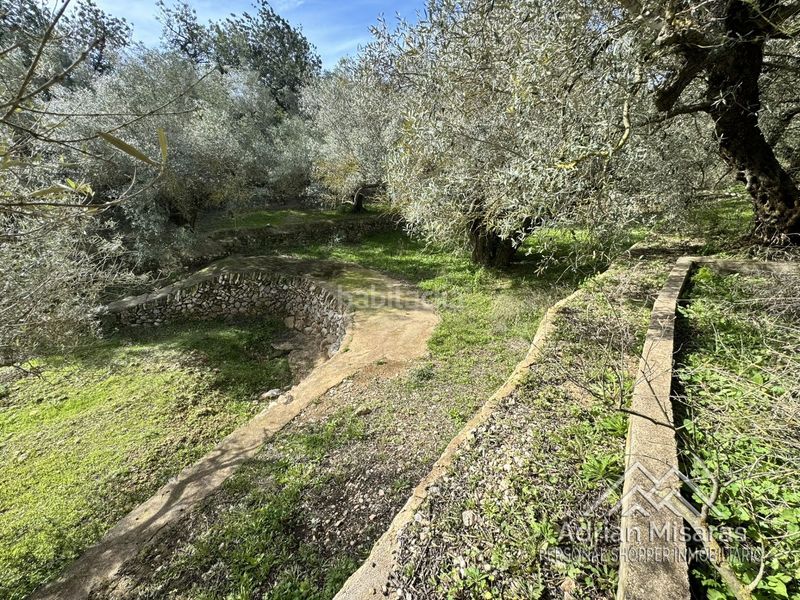 Foto 5533b2e3-9777-4d50-8a31-7ccfa0455f88. Finca rústica a Aldea (L´)
