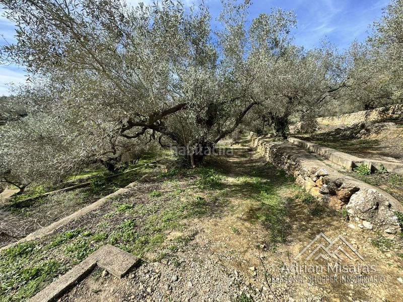 Foto 579b6214-00c5-4d5f-b58d-47754b5981e2. Finca rústica a Aldea (L´)