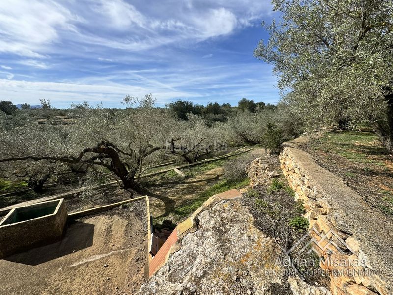 Foto 57e5f0e6-2edf-4304-9f85-5a4526457c10. Finca rústica a Aldea (L´)