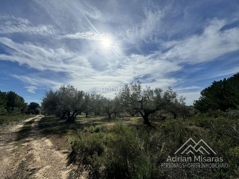Foto 5854907b-7bb2-47d4-9c08-5a689b7b3741. Finca rústica a Aldea (L´)