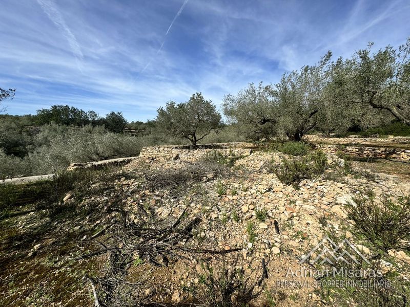 Foto 6b016611-866b-4c64-8d7e-b1155a9a3922. Finca rústica a Aldea (L´)
