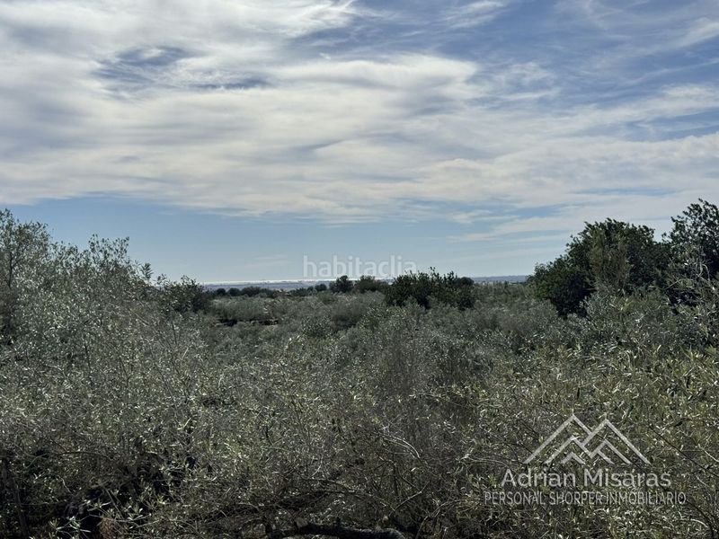 Foto cd8a7eb1-2547-4809-863b-7f210d95dcc4. Finca rústica a Aldea (L´)