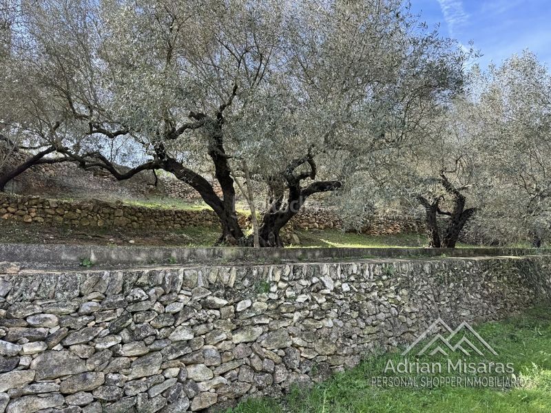 Foto dd3bd987-84d1-4178-8064-c0d883bd727f. Finca rústica a Aldea (L´)
