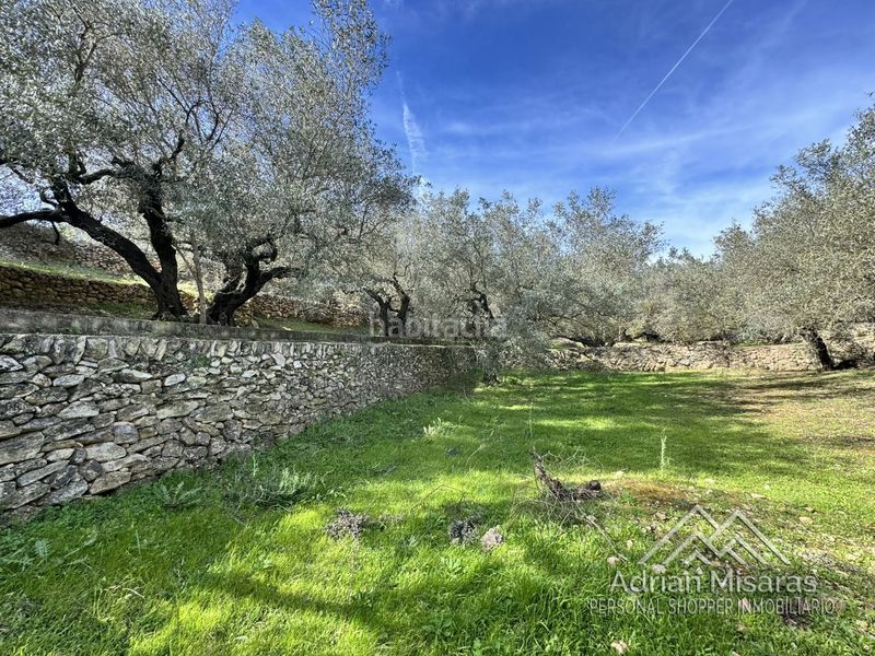 Foto e86cf835-1d63-4b2e-8a90-ee6a7d793c2b. Finca rústica a Aldea (L´)