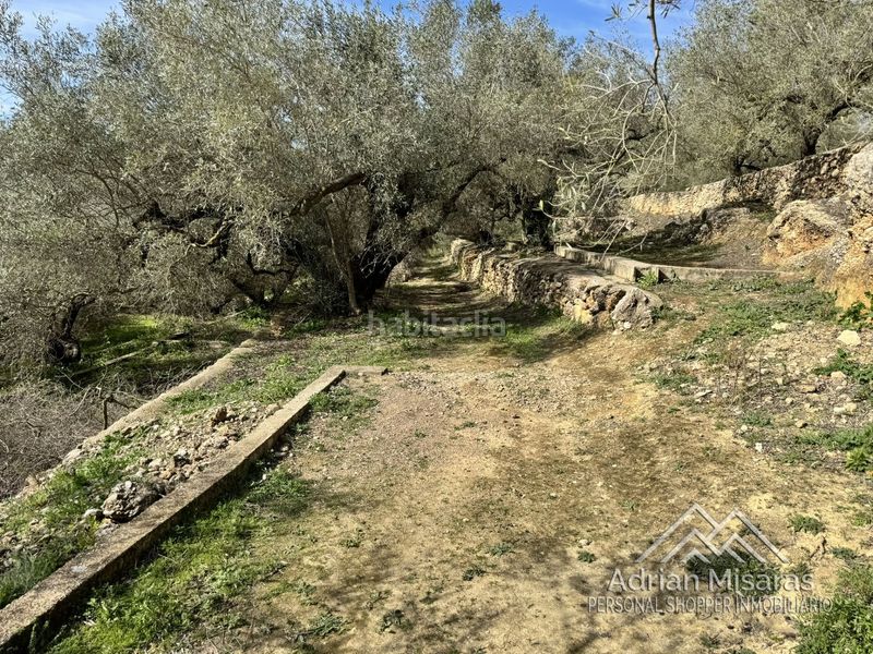 Foto f6f982e6-f778-49f1-8d61-30fe5172af8f. Finca rústica a Aldea (L´)