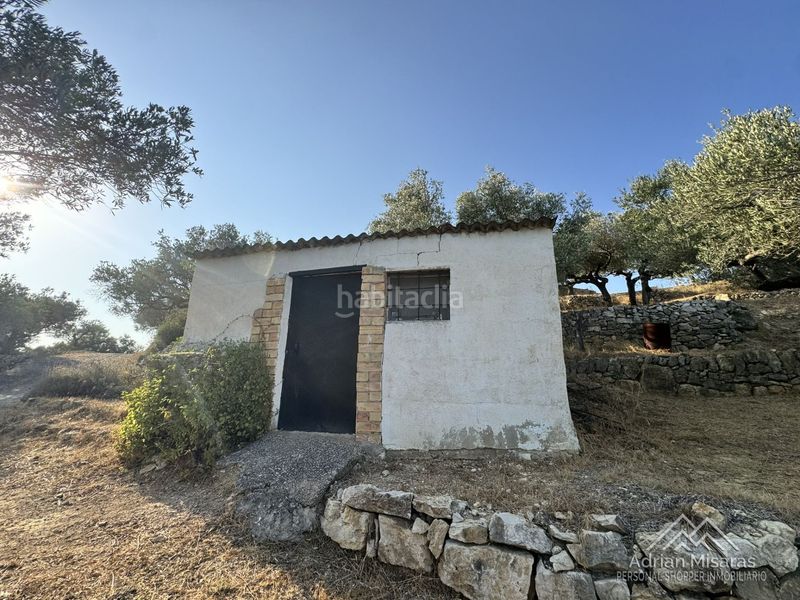 Foto 6df17f33-b21b-40d7-879f-be65669429f3. Finca rústica a Urbanitzacions Tortosa