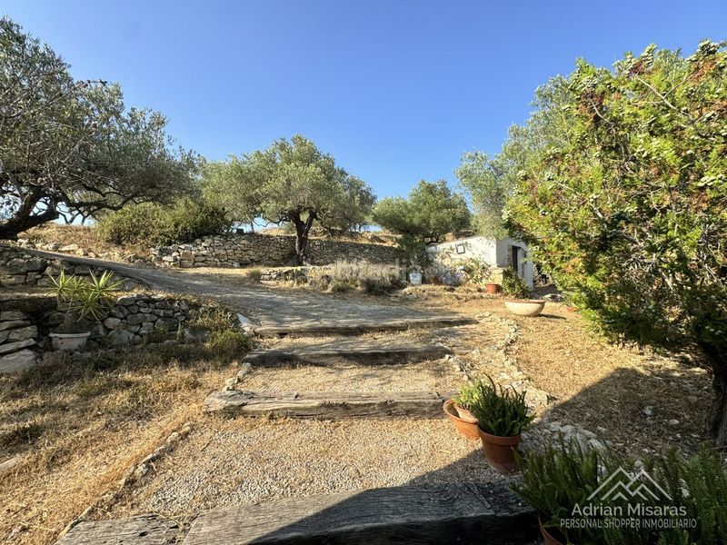 Foto af3b380d-c109-4737-9045-b95c0699daed. Finca rústica a Urbanitzacions Tortosa