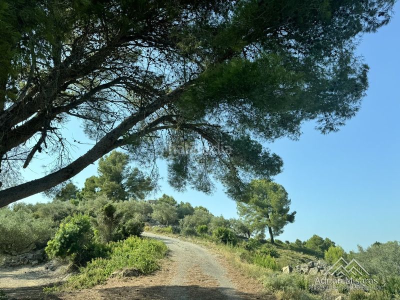 Foto b1816f71-0489-49ff-8267-b3801d24ad54. Finca rústica a Urbanitzacions Tortosa