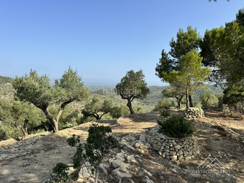 Foto c936f243-c6b4-4e44-a76c-0f3dfce6feac. Finca rústica a Urbanitzacions Tortosa