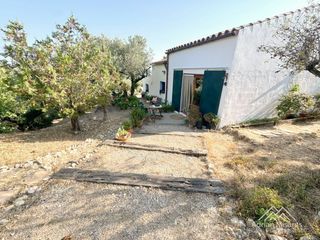 Rural plot  139. Finca r�stica con casa, 15.000 m y 233 olivos cerca de tortosa