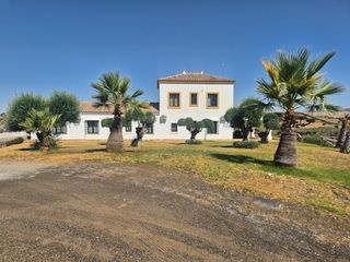 Masia a Puerto Serrano. Finca olivarera exclusiva en la sierra de cádiz