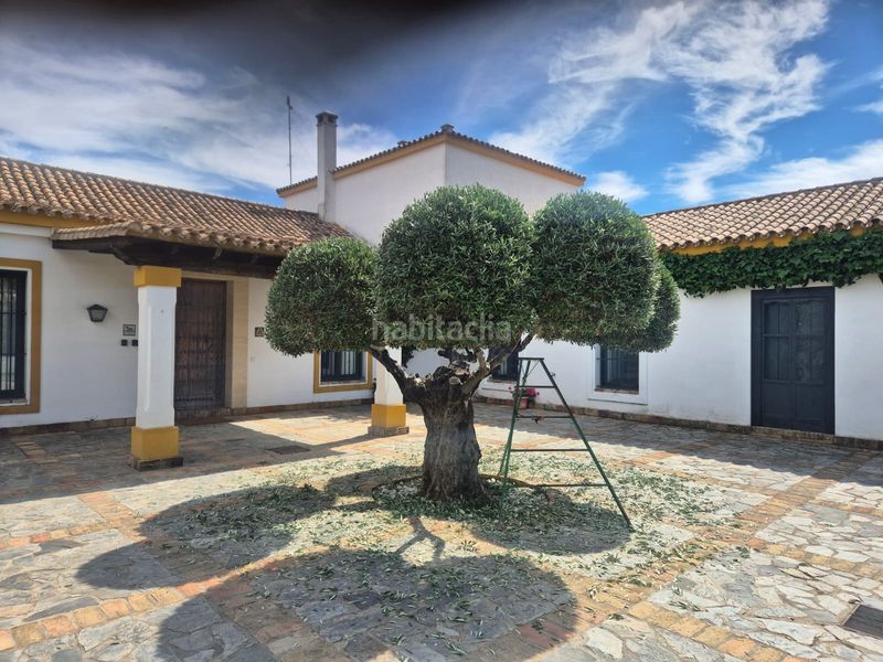 Foto 2156e08a-ecd7-48d1-bd16-e290299368fc. Masia amb calefacció aparcament piscina a Puerto Serrano