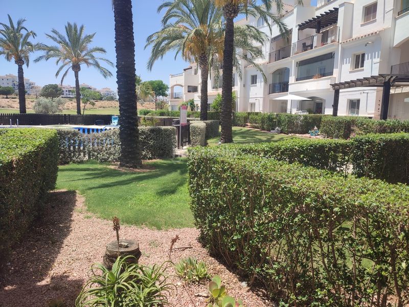 Foto a1d21f88-2cd8-4802-9072-ff985a54280c. Apartament amb aparcament a Jerónimo y Avileses Murcia