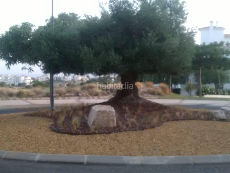 Foto 9a9a5861-1377-4103-ad25-0ec84bc5ae70. Apartament a Sucina Murcia