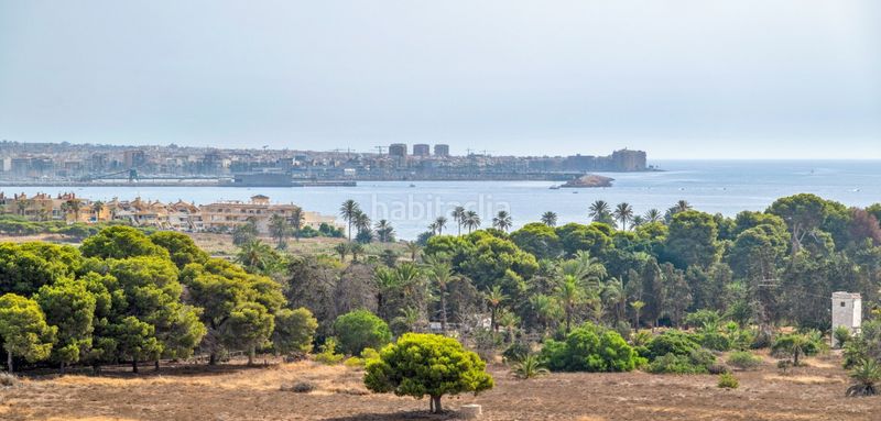 Foto e9774a6e-8e72-4358-b6ae-ba2d4268a219. Apartament amb aparcament a Punta Prima Torrevieja