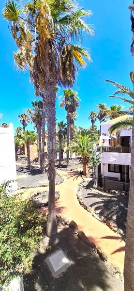 Foto 2bfa0f69-be0a-4d9b-9244-432e42fc820a. Apartament amb piscina a Corralejo Oliva (La)