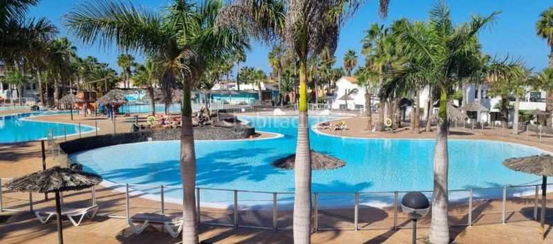Foto 4b73cf84-8973-4443-8f93-6c9cae0fd874. Apartament amb piscina a Corralejo Oliva (La)