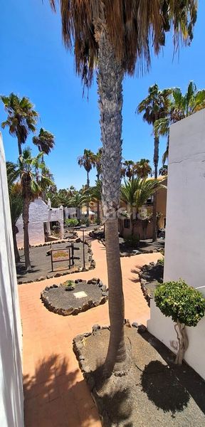 Foto ba4505be-aefd-4968-9712-f7f46a84b370. Apartament amb piscina a Corralejo Oliva (La)