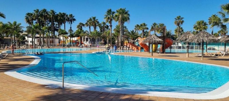 Foto d31f44c0-dd3b-46d5-8bb4-a94368dba0ab. Apartament amb piscina a Corralejo Oliva (La)
