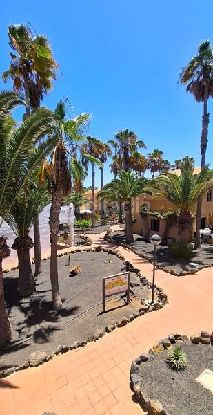 Foto f19db537-75e1-411d-8c81-8259554a689d. Apartament amb piscina a Corralejo Oliva (La)