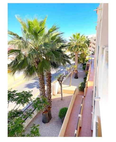 Foto 979257d4-77da-4db3-a671-90c2d84ac6f2. Apartament amb aparcament a La Zenia Orihuela