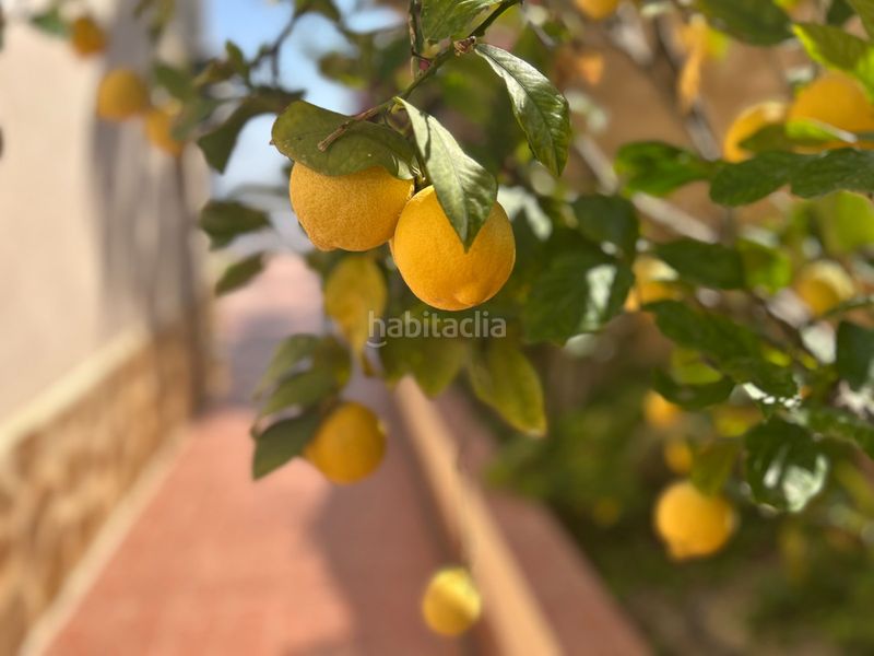 Foto eb73ebcd-6c8d-41df-9ee5-c472a1508f69. Casa a Algorfa