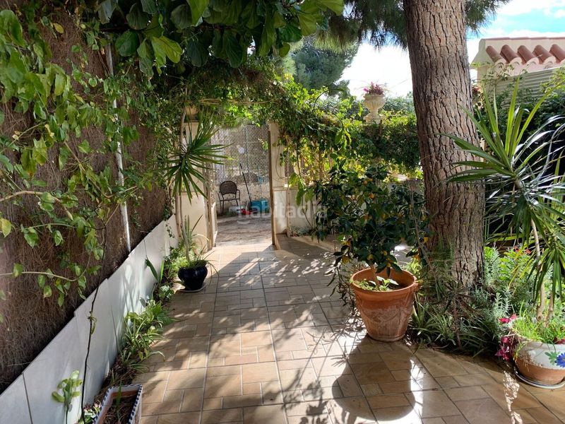 Foto e3c76d11-a5ee-4975-8fac-e67bfa71e45d. Dúplex a La Zenia Orihuela