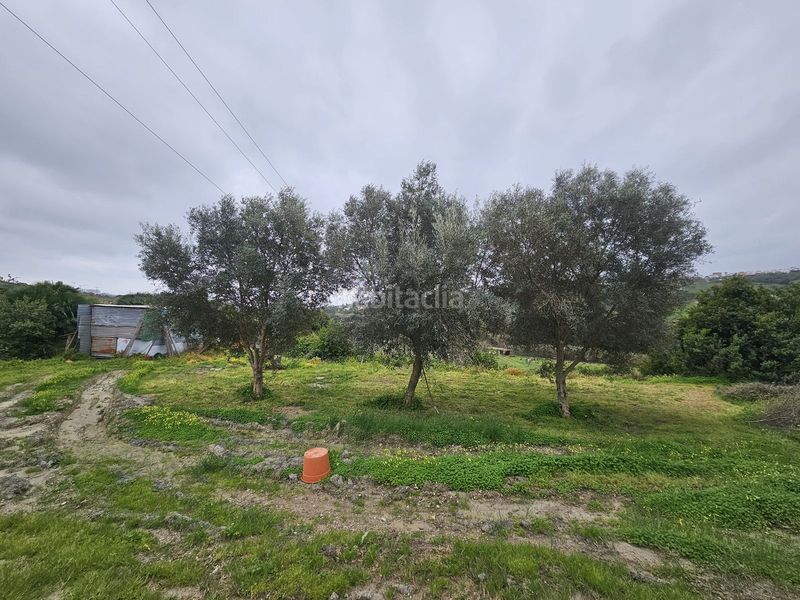 Foto 13e6a9da-d978-4cb8-91f9-b43457e4ceca. Casa amb aparcament a Manilva pueblo Manilva