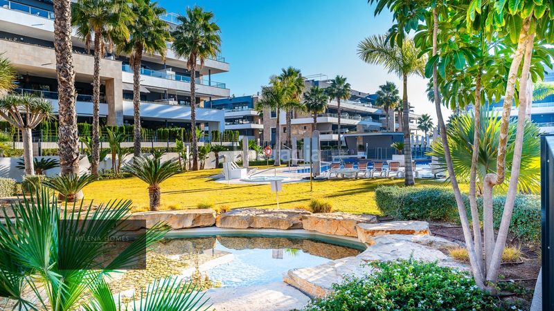 Foto c8d0c2c6-f62f-475c-b9db-69424c1c5a05. Apartament a Playa Flamenca Orihuela