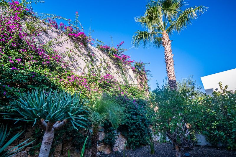 Foto 497db76a-9200-41fc-a3f0-1a5dba1f7fd8. Casa a Algorfa