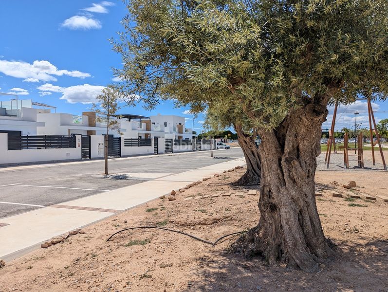 Foto 4e2b5534-cda7-4c02-9d21-b38e71fdf10e. Casa a Roldán Torre - Pacheco
