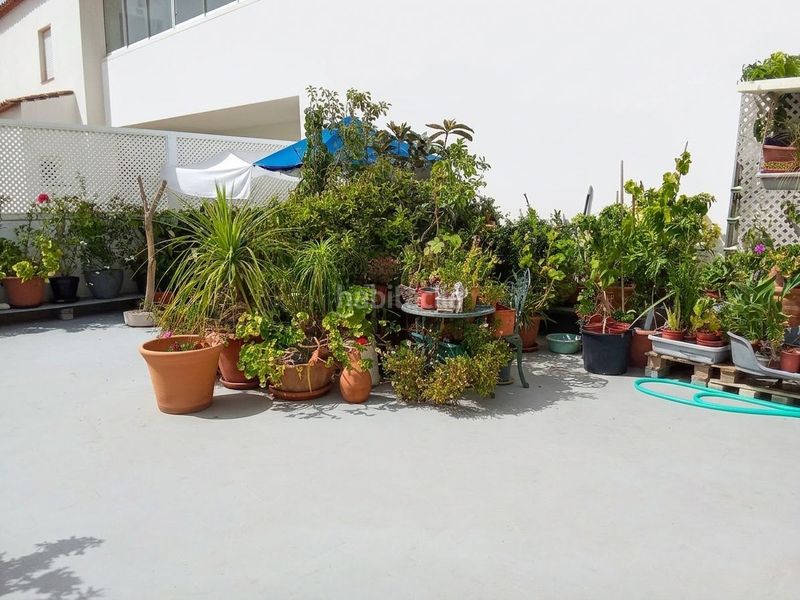 Foto f2dfbbcf-7777-4026-8d21-bbe79db17141. Apartament a Centro Estepona