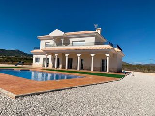 Haus in Pinoso