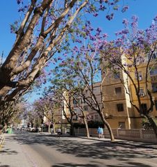 Apartament a Las Flores