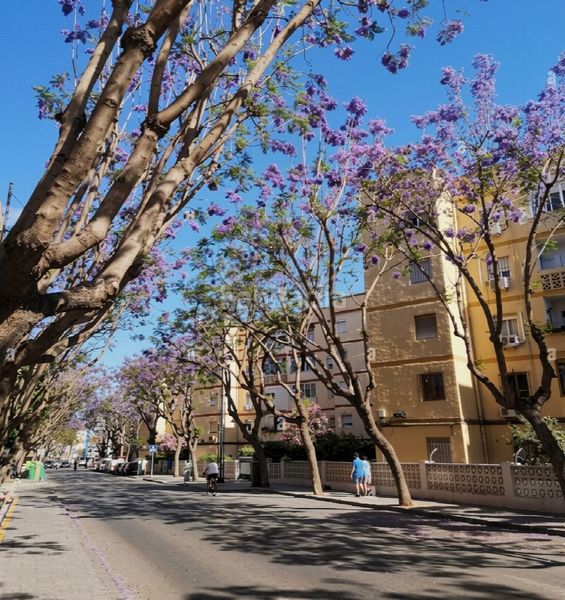 Foto b48be4c8-63f2-4561-aae4-4e056a410015. Apartament amb aparcament a Las Flores Mijas